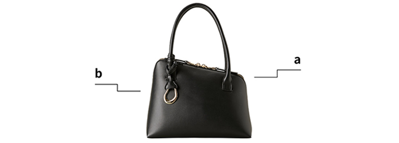 LE VERNIS BLACK BAG