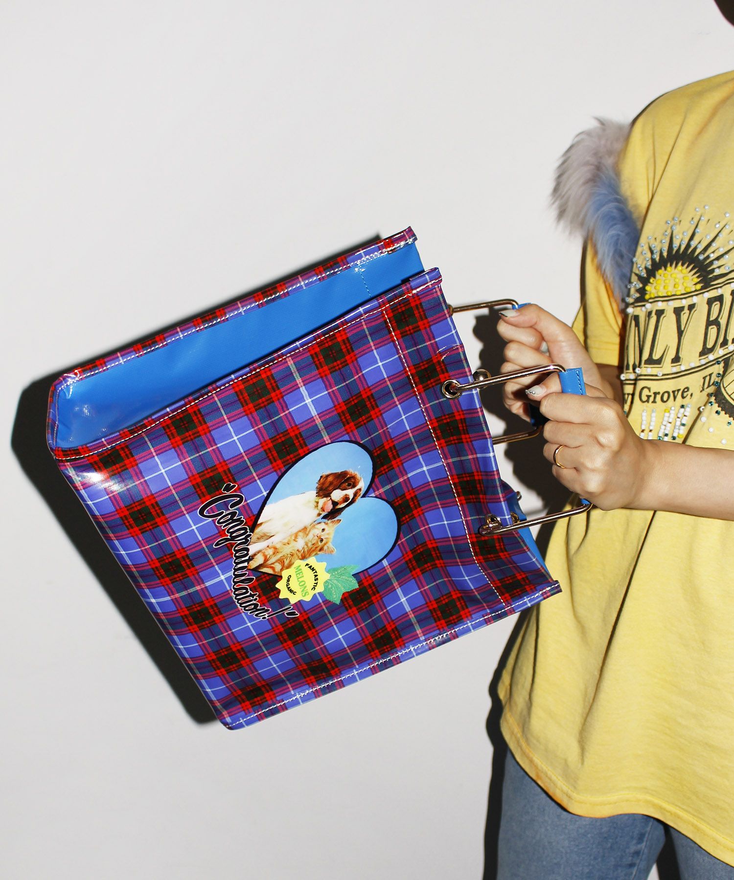 新品　HEY! Mrs ROSE HEY! lHandleBAG 犬　猫 HEY! Mrs ROSE(ヘイ！ミセスローズ)HEY!MetalHandleBAG | CASSELINI
