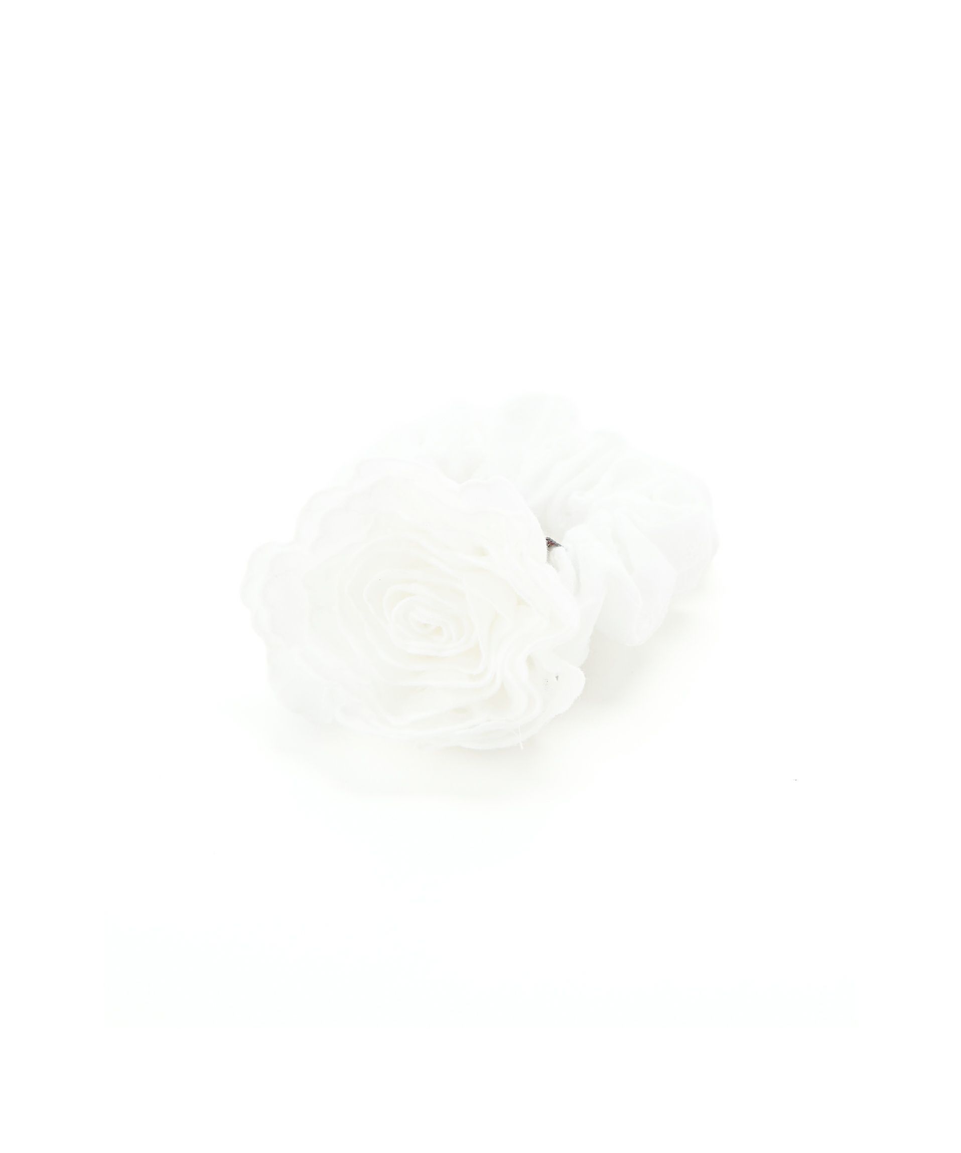 COLOR:ホワイト