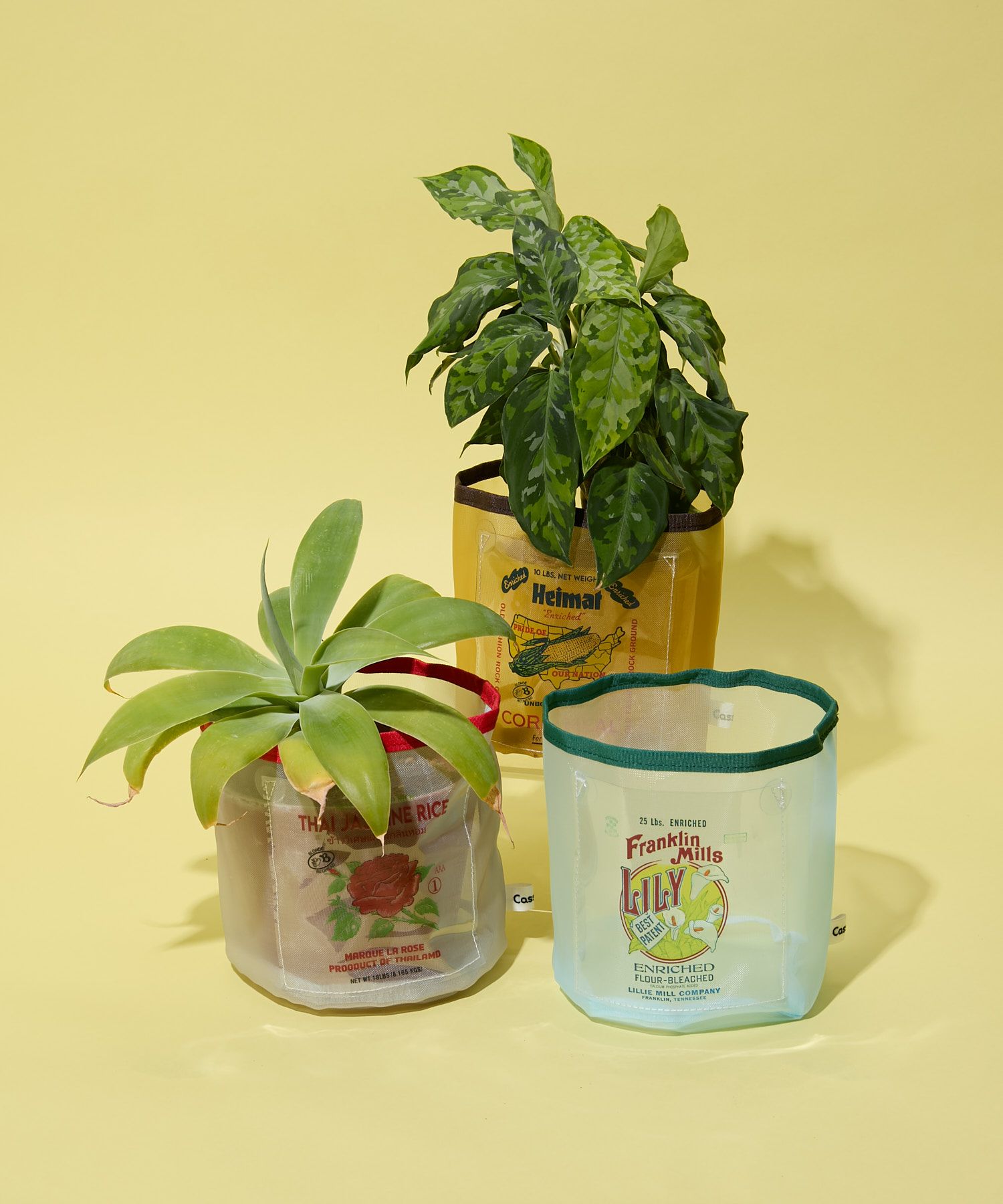 Casselini HOME(キャセリーニ ホーム)PVCフリル鉢カバー | CASSELINI